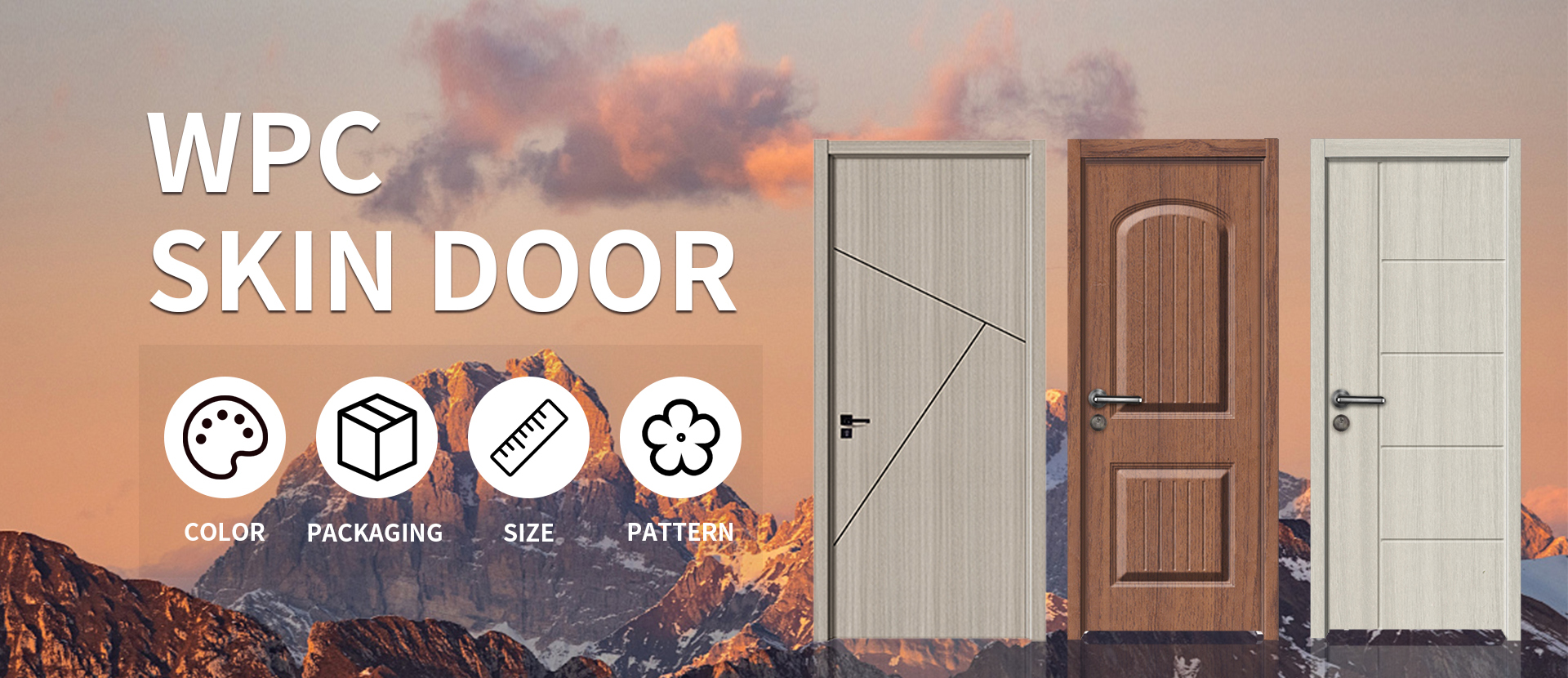 WPC Skin Door